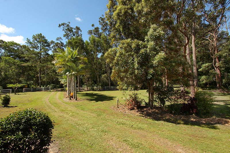69 Eudlo Flats Road, Diddillibah, QLD 4559