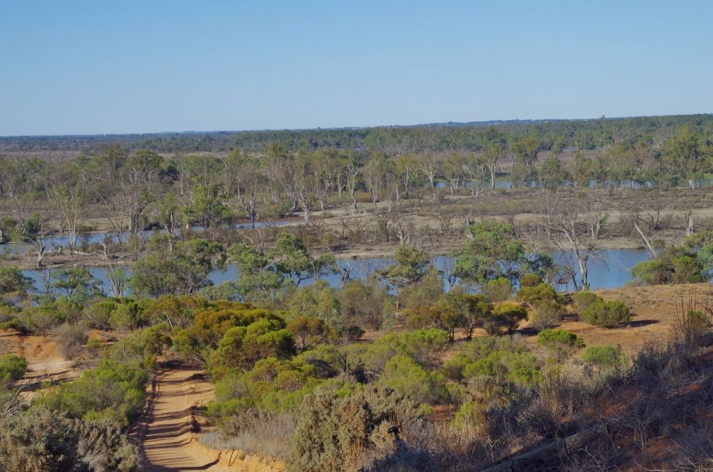 172 Pike Creek Road, Lyrup, SA 5343