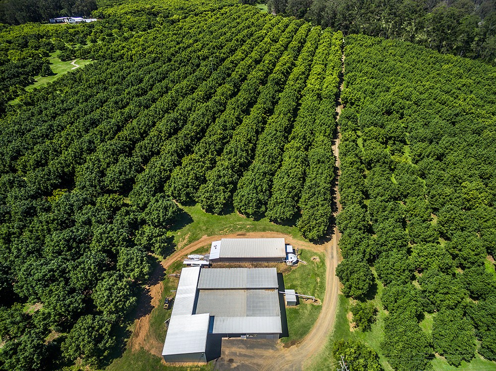 702 Green Pigeon Road, Kyogle, NSW 2474