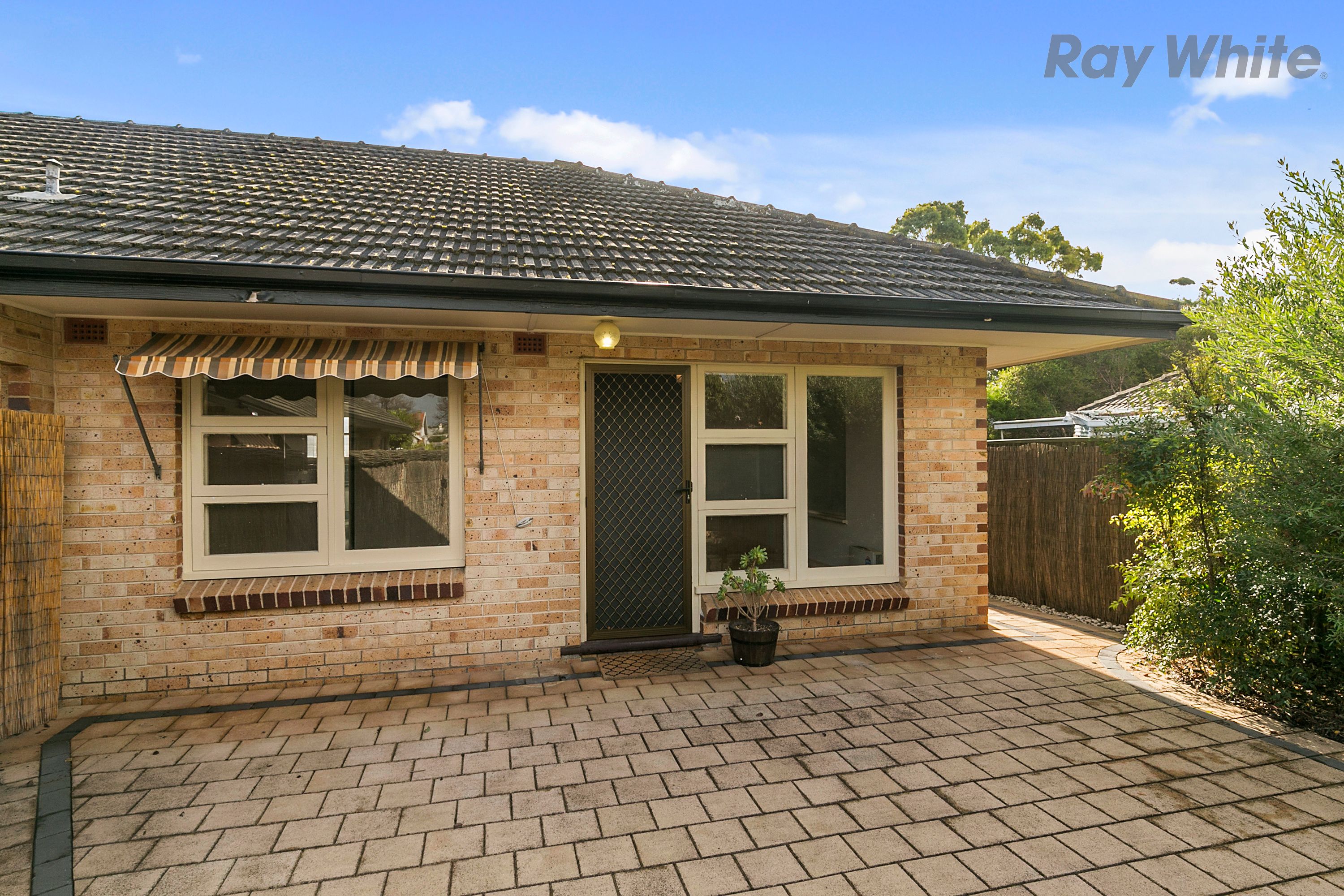6/303 Anzac Highway, Plympton, SA 5038