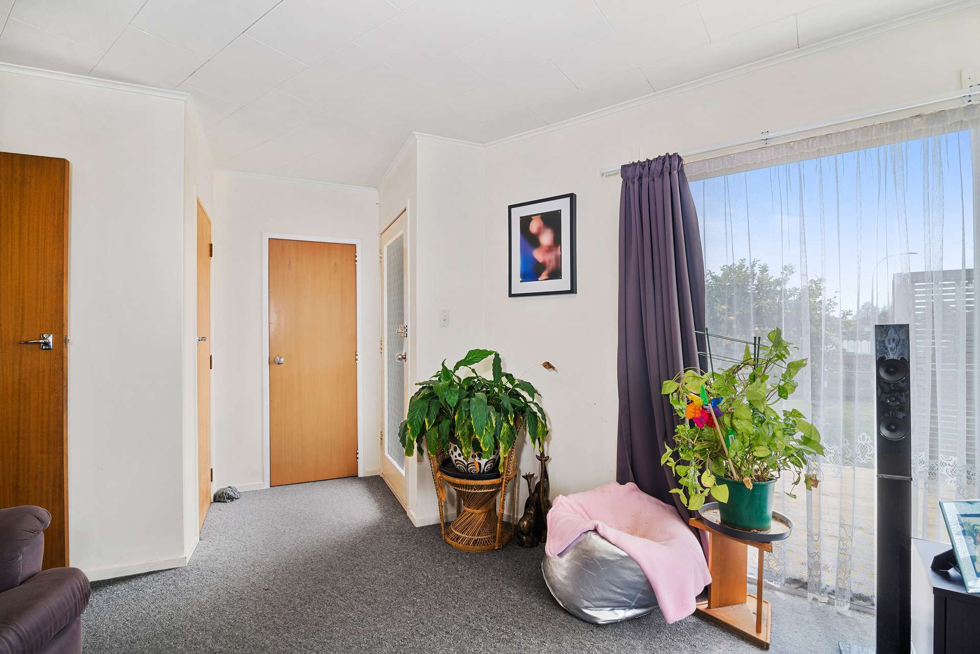 57 Kokiri Street photo 4