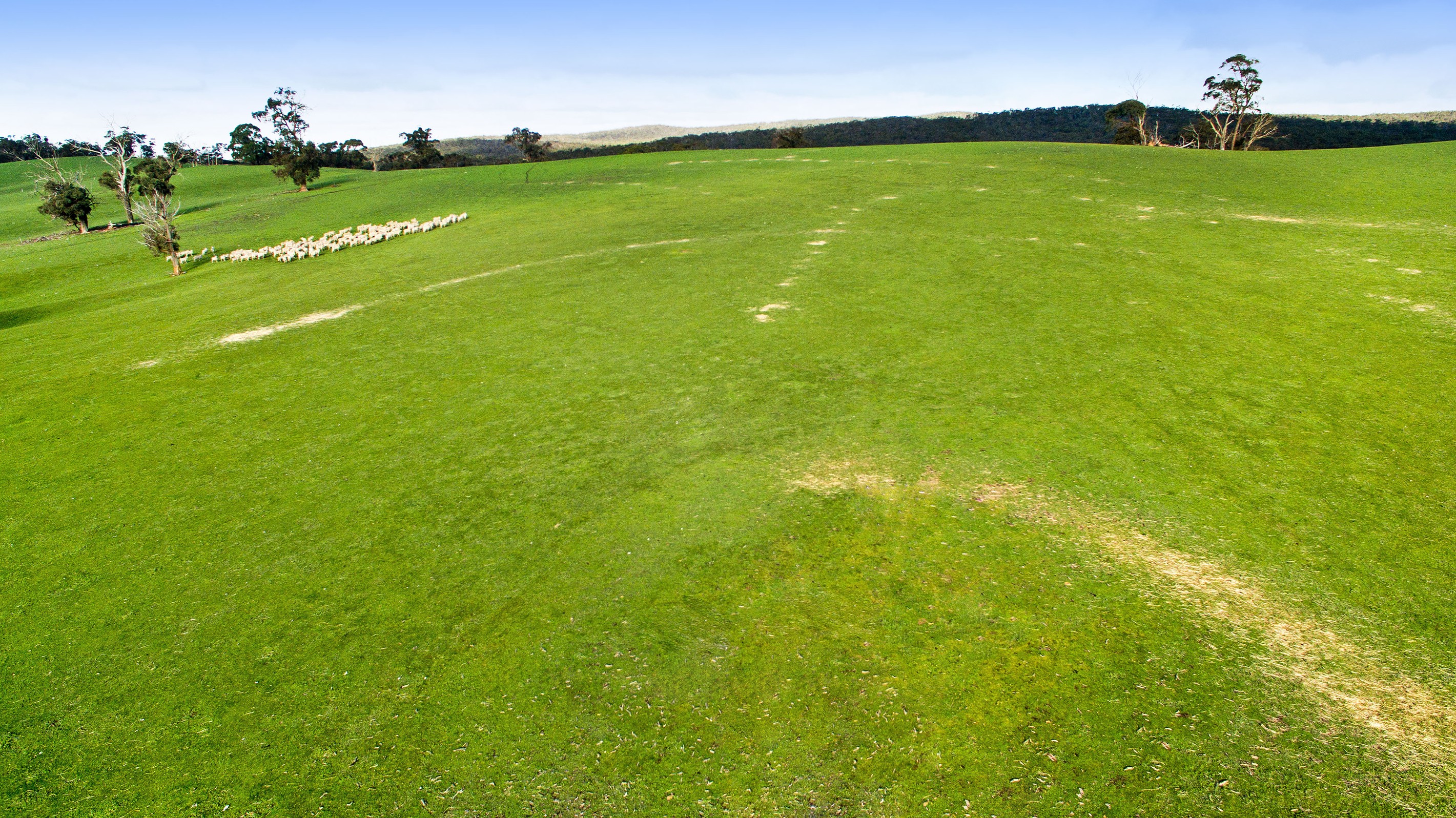 Lot 1 Embling Street, Beaufort, VIC 3373