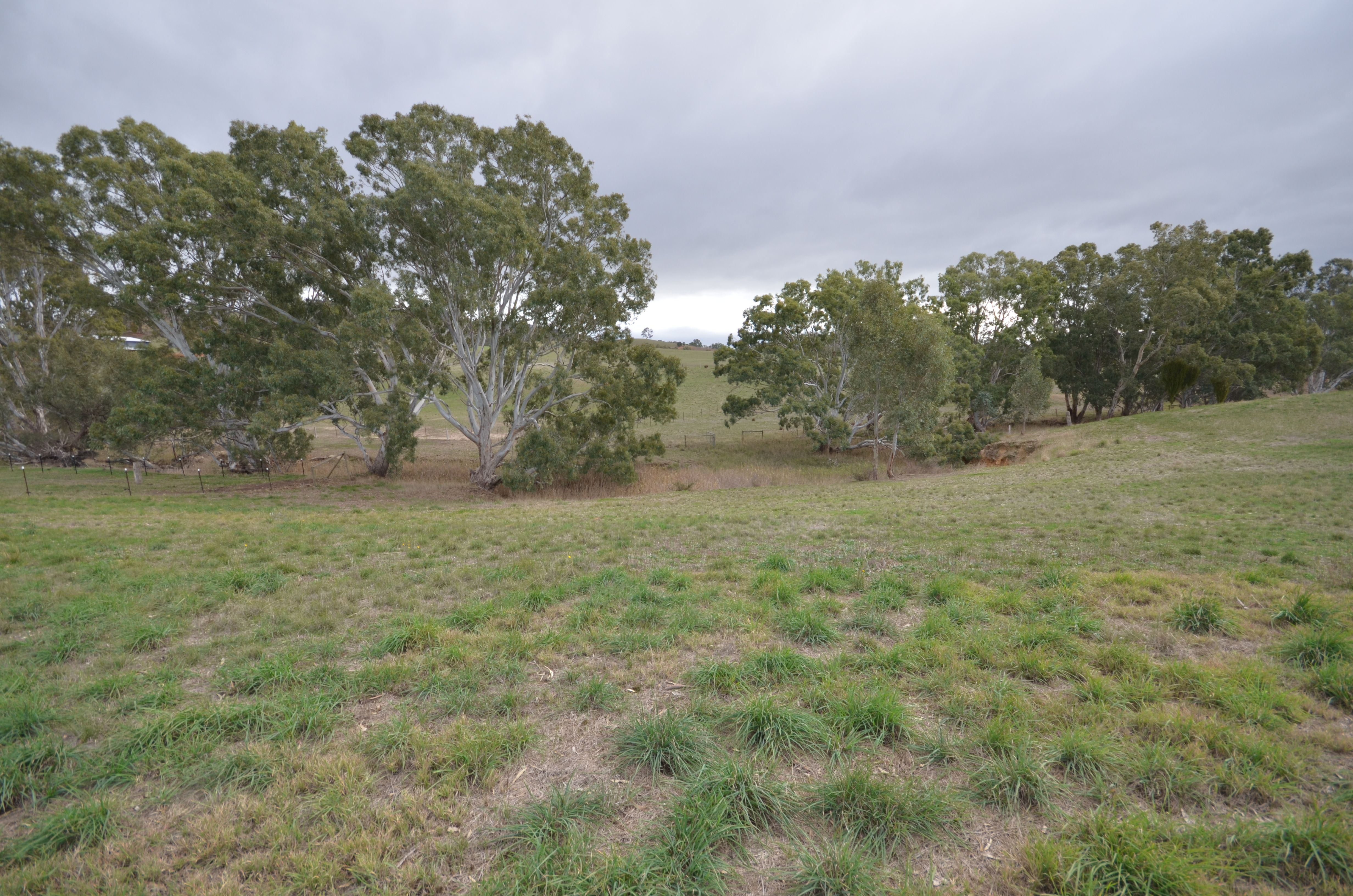 CA 3 Green Street, Elmhurst, VIC 3469