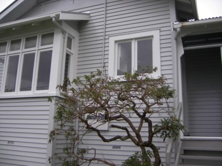 1/23 St Albans Avenue, Mt Eden, Auckland City