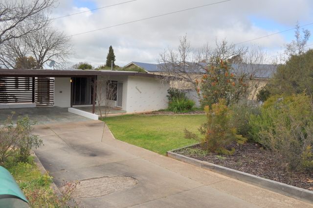 81 Meadow Street, Kooringal, NSW 2650