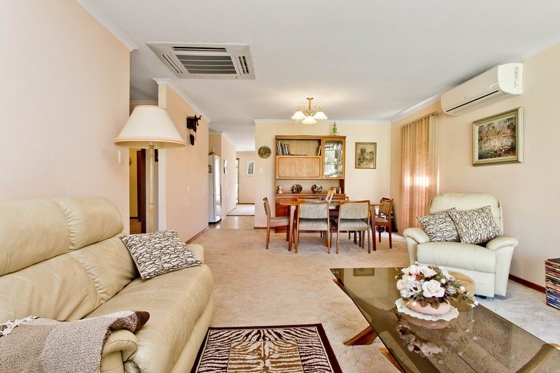 19 Jacaranda Grove, Oaklands Park, SA 5046