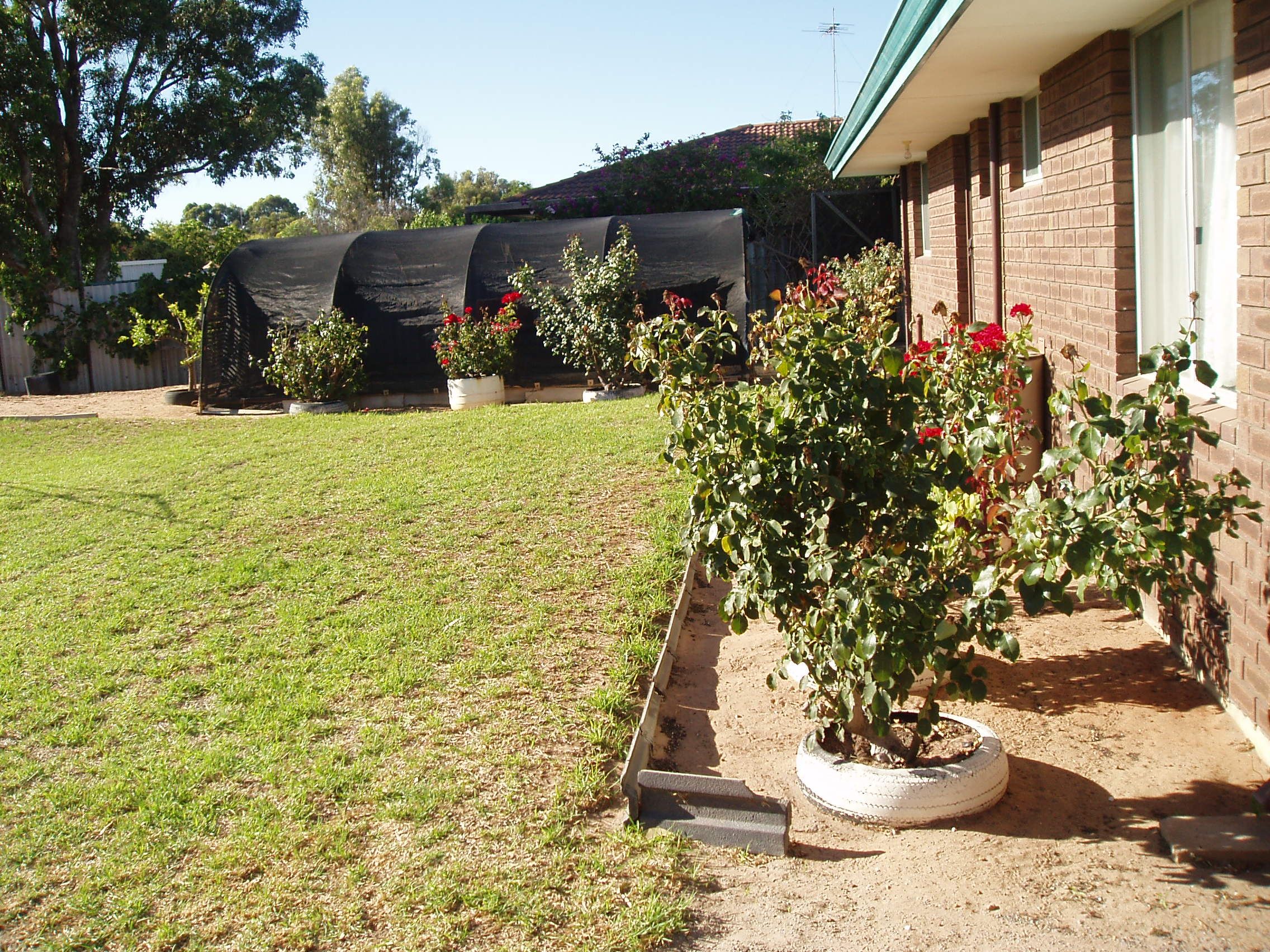 22 Dodd Street, Dongara, WA 6525