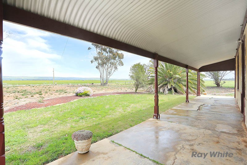 2483 Black Springs Road, Robertstown, SA 5381