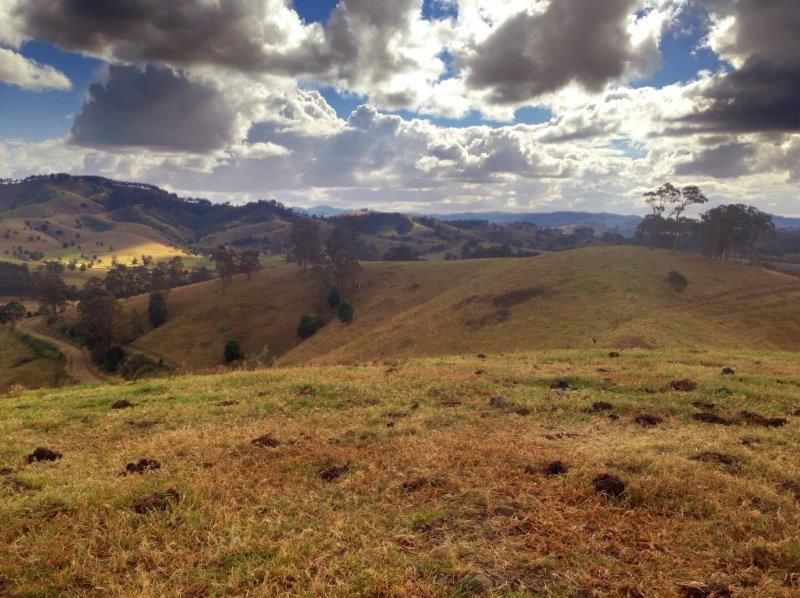 653 Bunyah Road, Wingham, NSW 2429