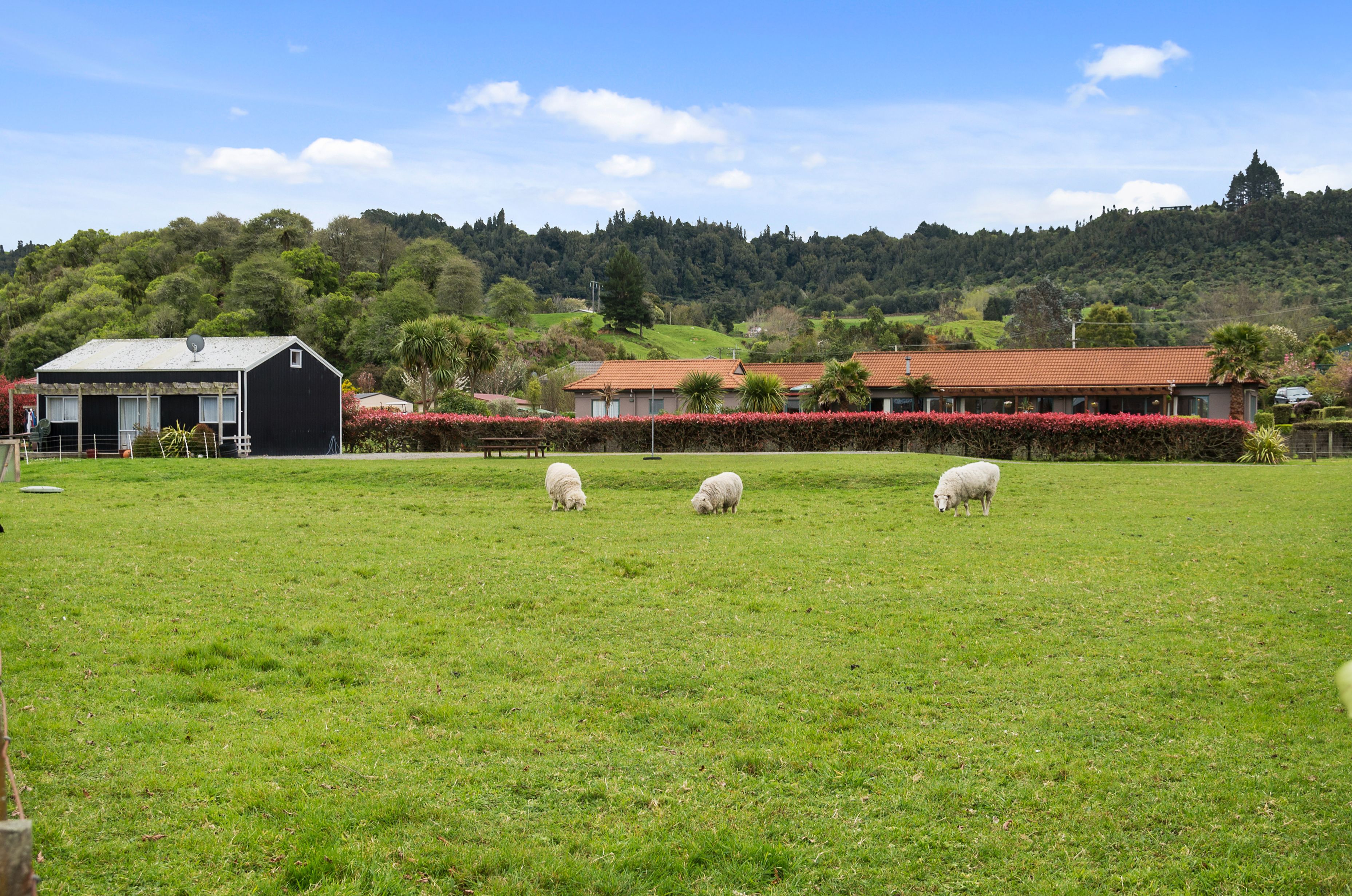7 Te Waerenga Road, Hamurana, Rotorua District