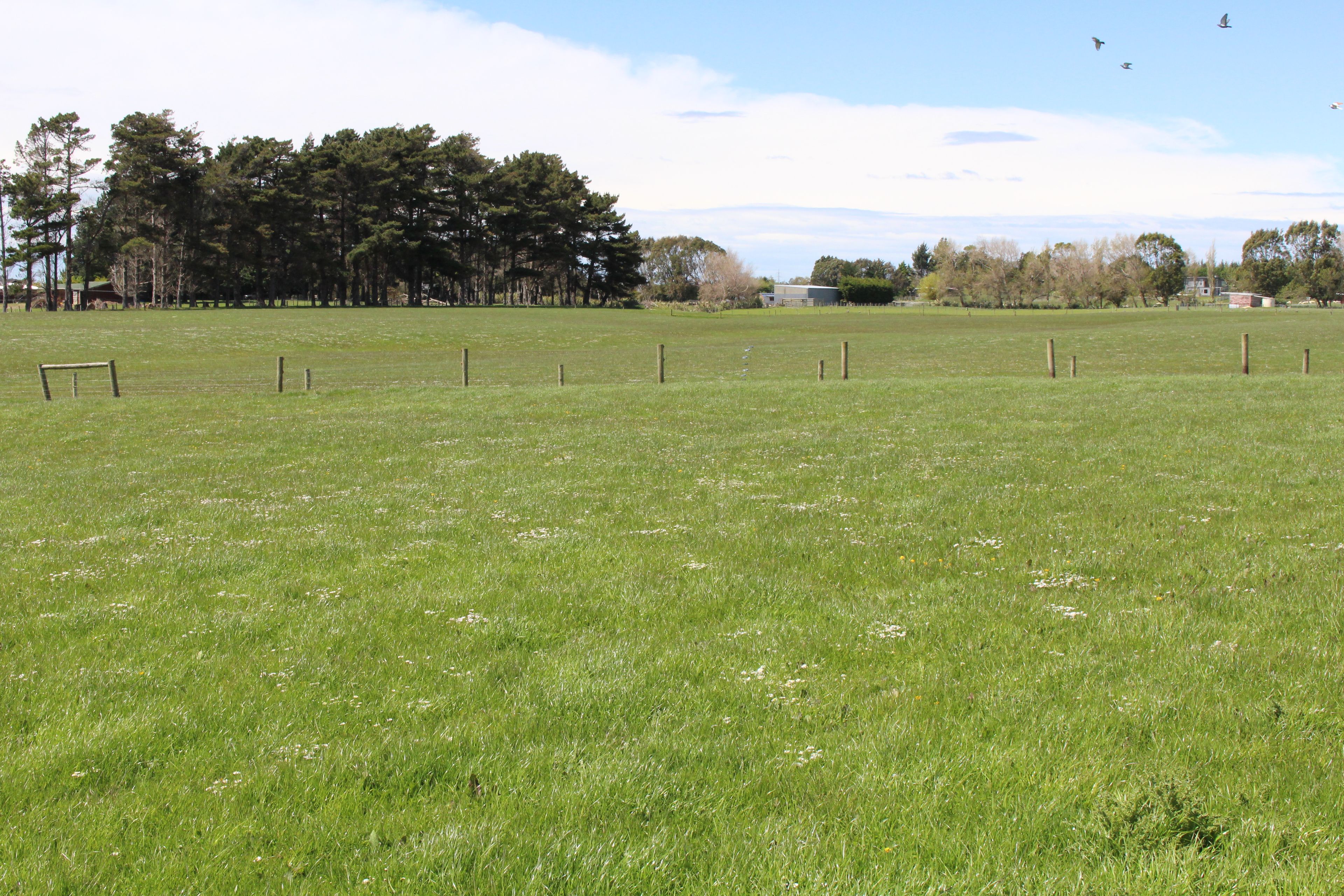 208 Oteramika Road, Mill Road, Invercargill