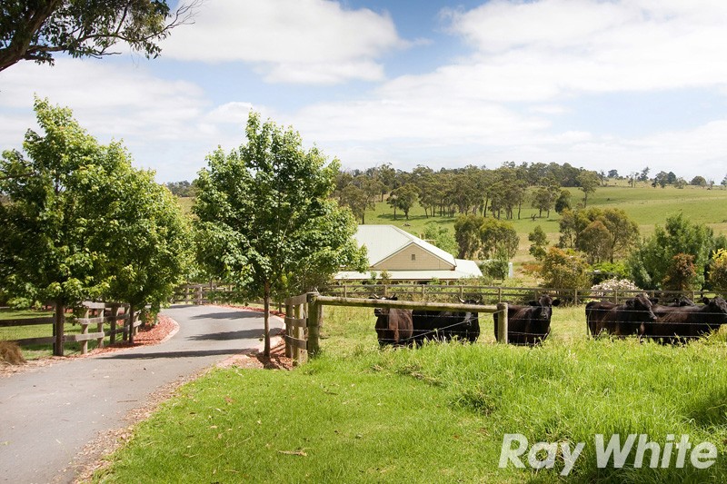 5 Lang Lang Poowong Road, Nyora, VIC 3987