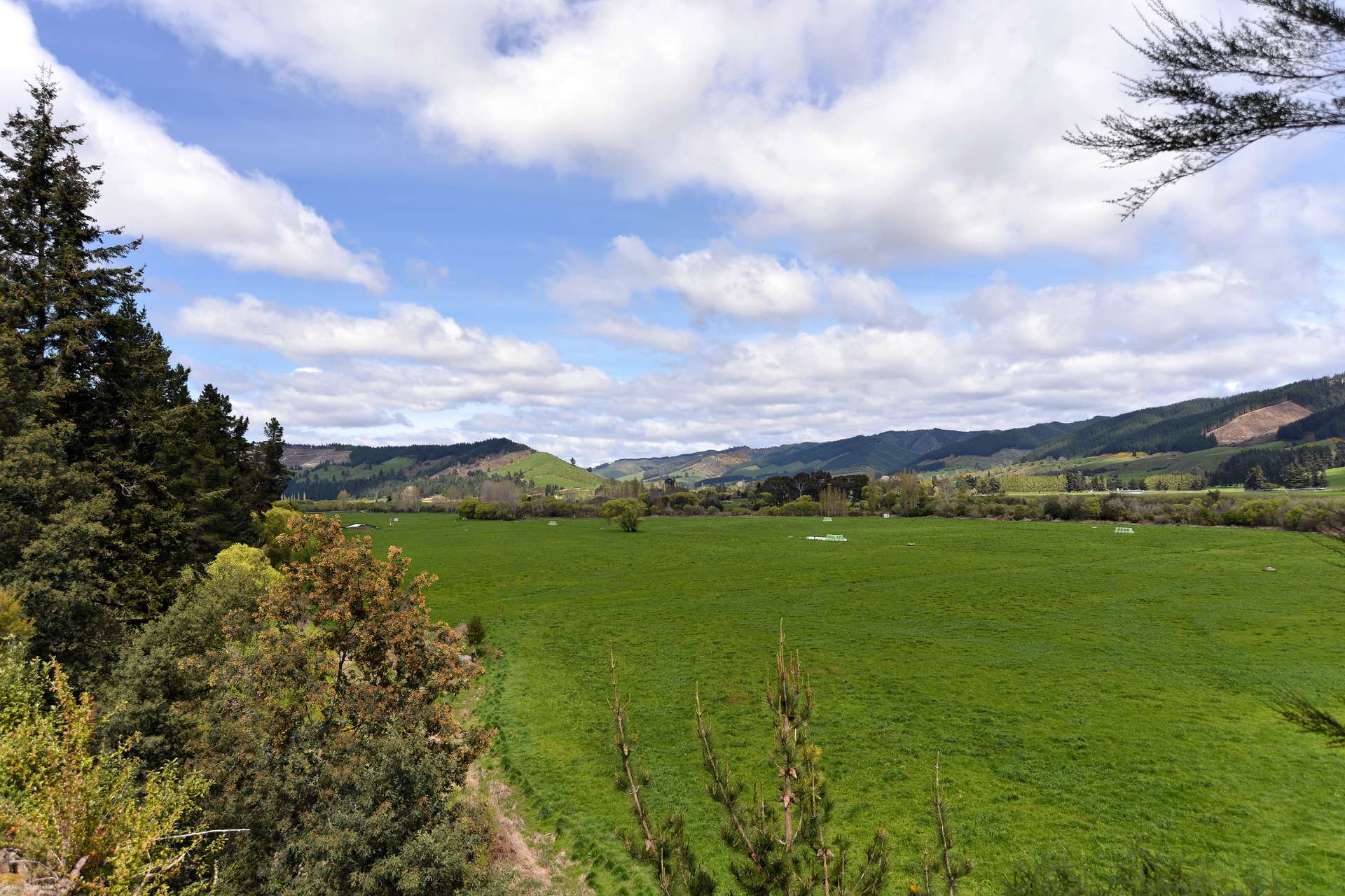 4960 Motueka Valley Highway, Tapawera, Tasman District Real Estate