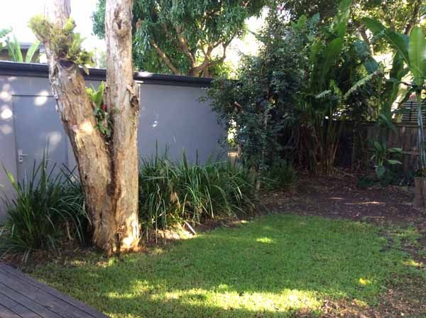 4 COOPER Street, Byron Bay, NSW 2481