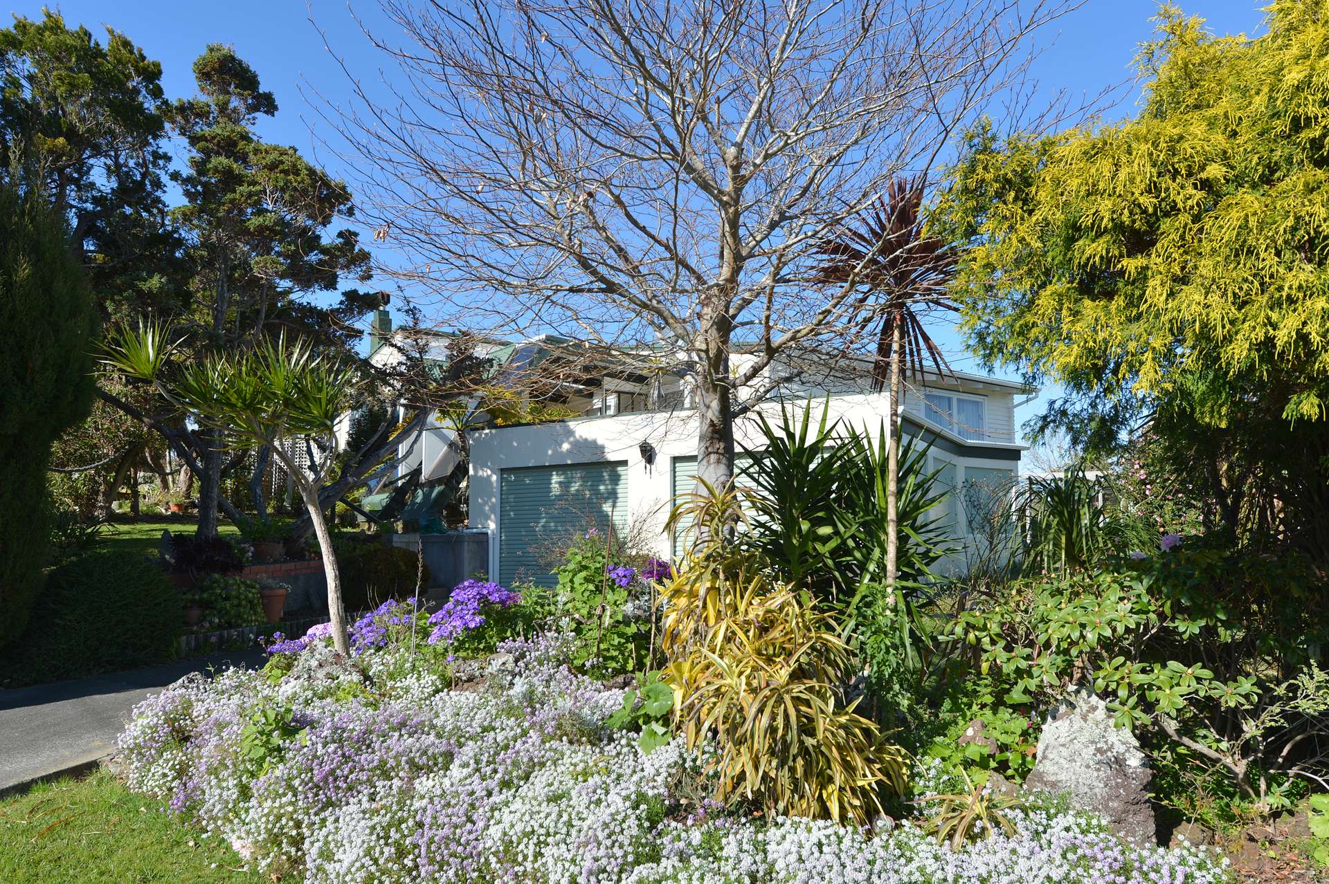 6 Tahuna Place photo 2