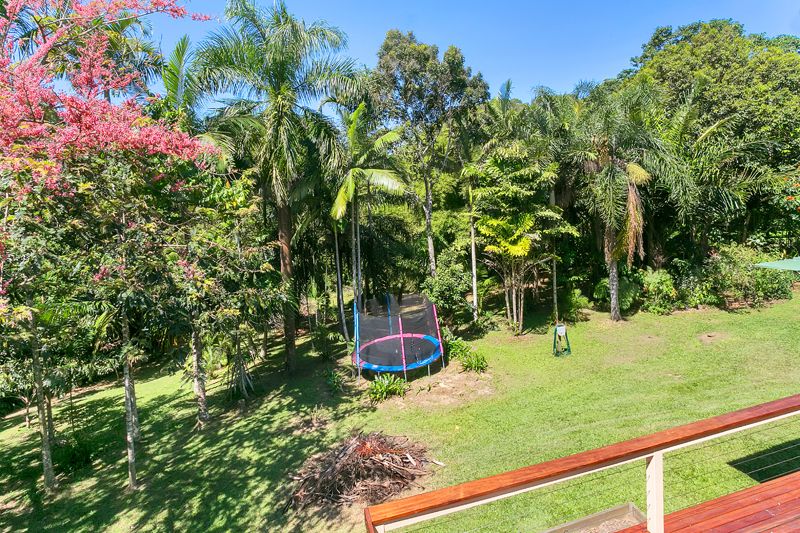 7 Shane Court, Kuranda, QLD 4881