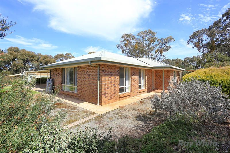 31 Jarman Crescent, Clare, SA 5453
