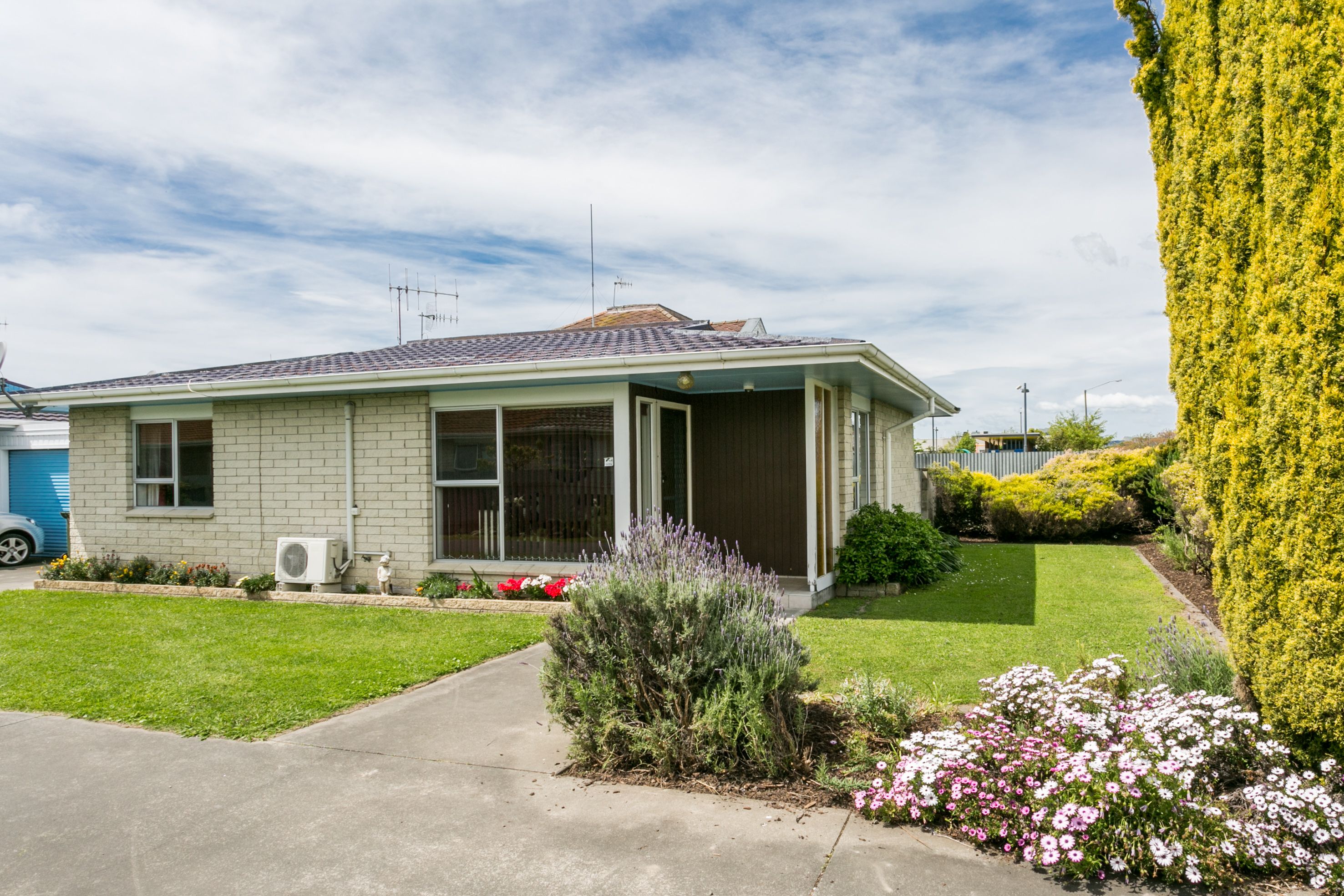 1/307 Avenue Road West, Hastings, Hastings District