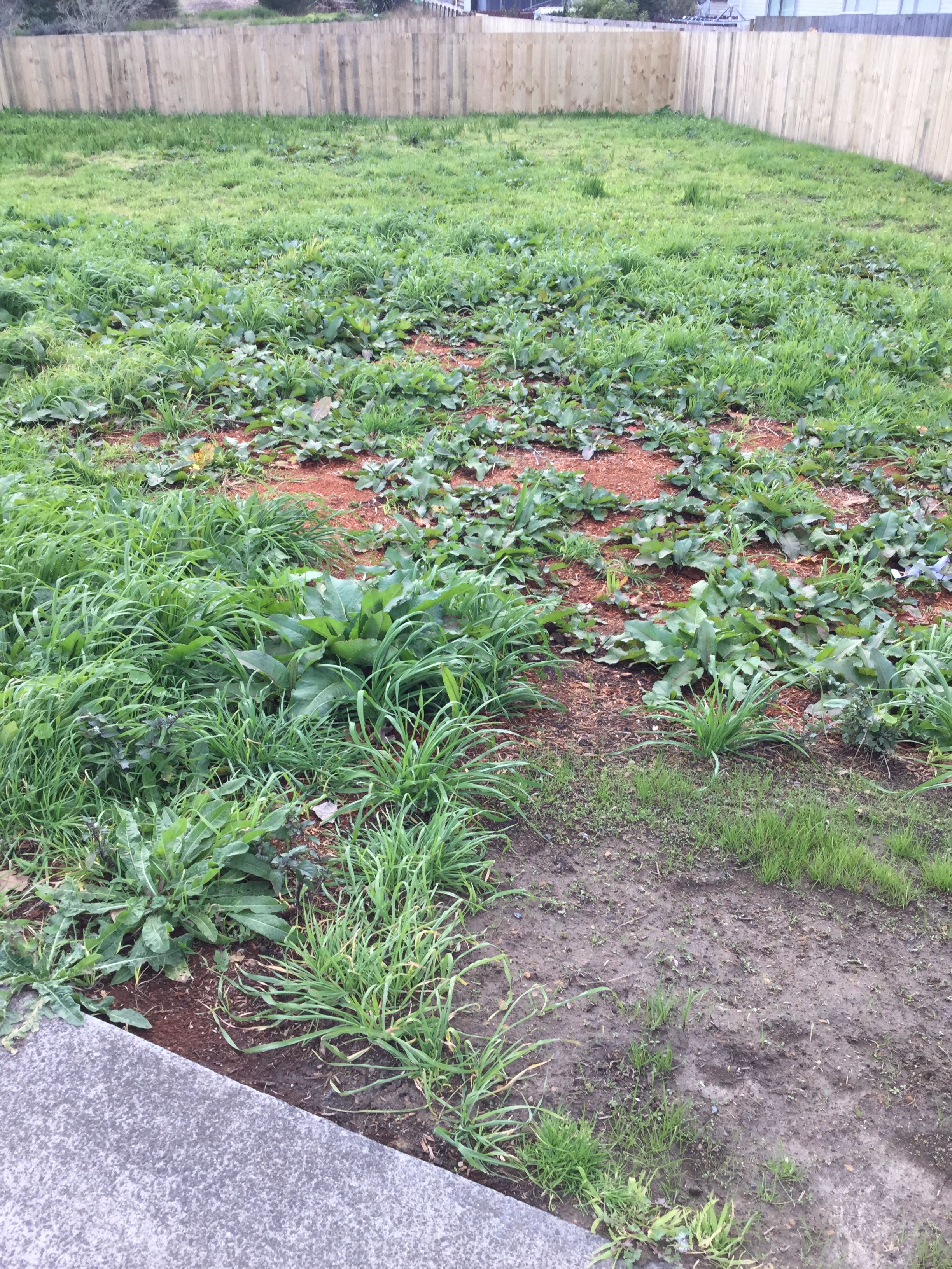 50 Beachlands Road, Beachlands, Manukau City