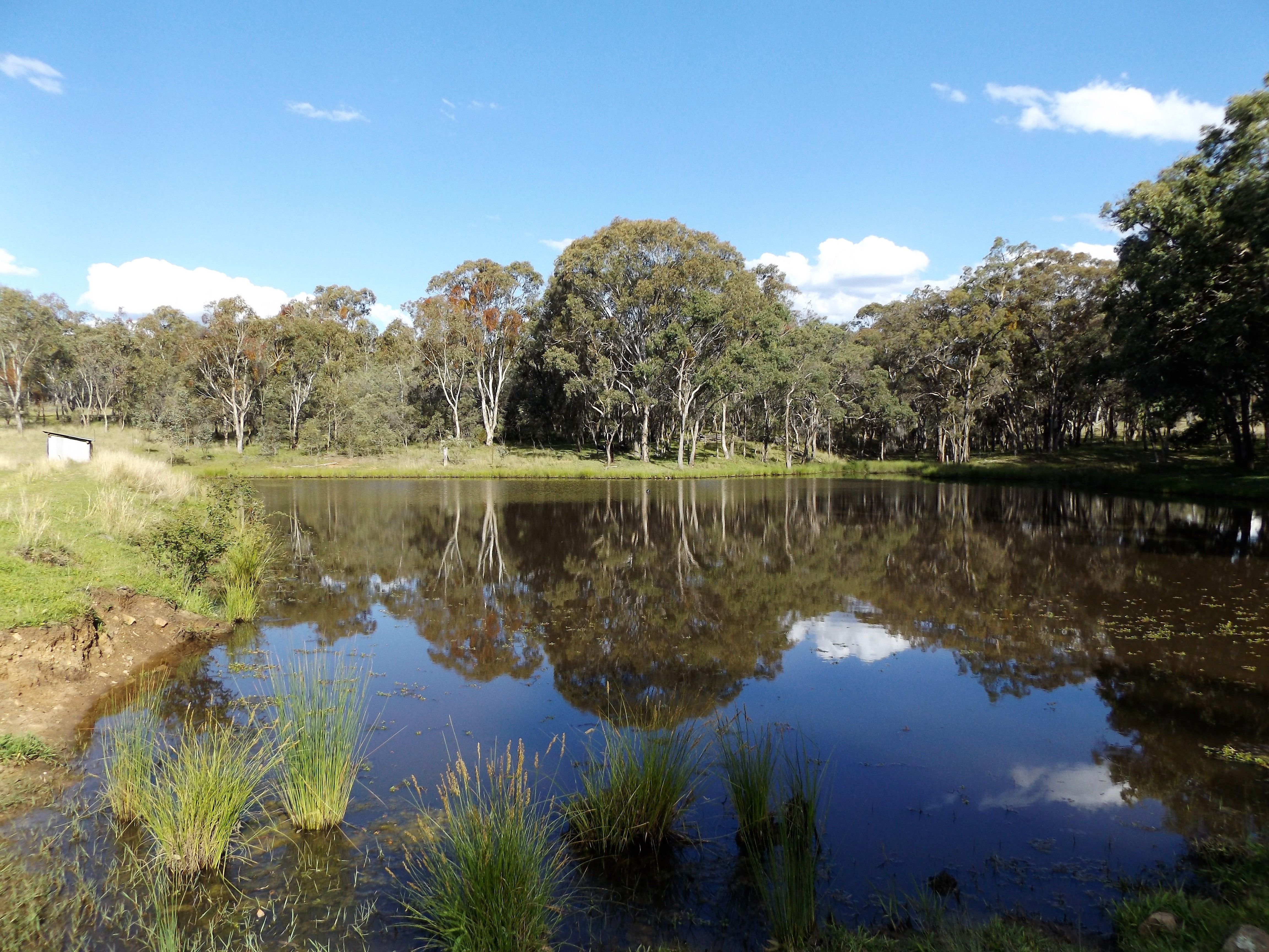 0 Strathbogie Road, Glen Innes, NSW 2370