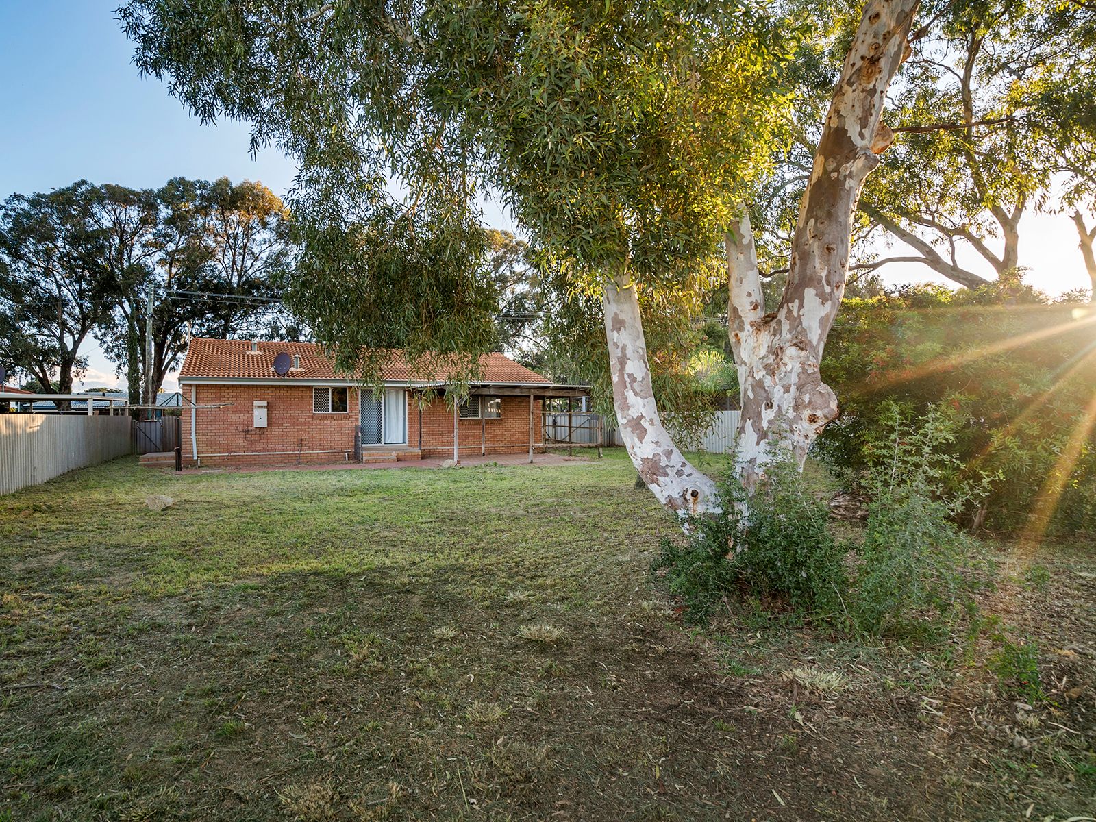 59 Mitchell Street, SPALDING, WA 6530