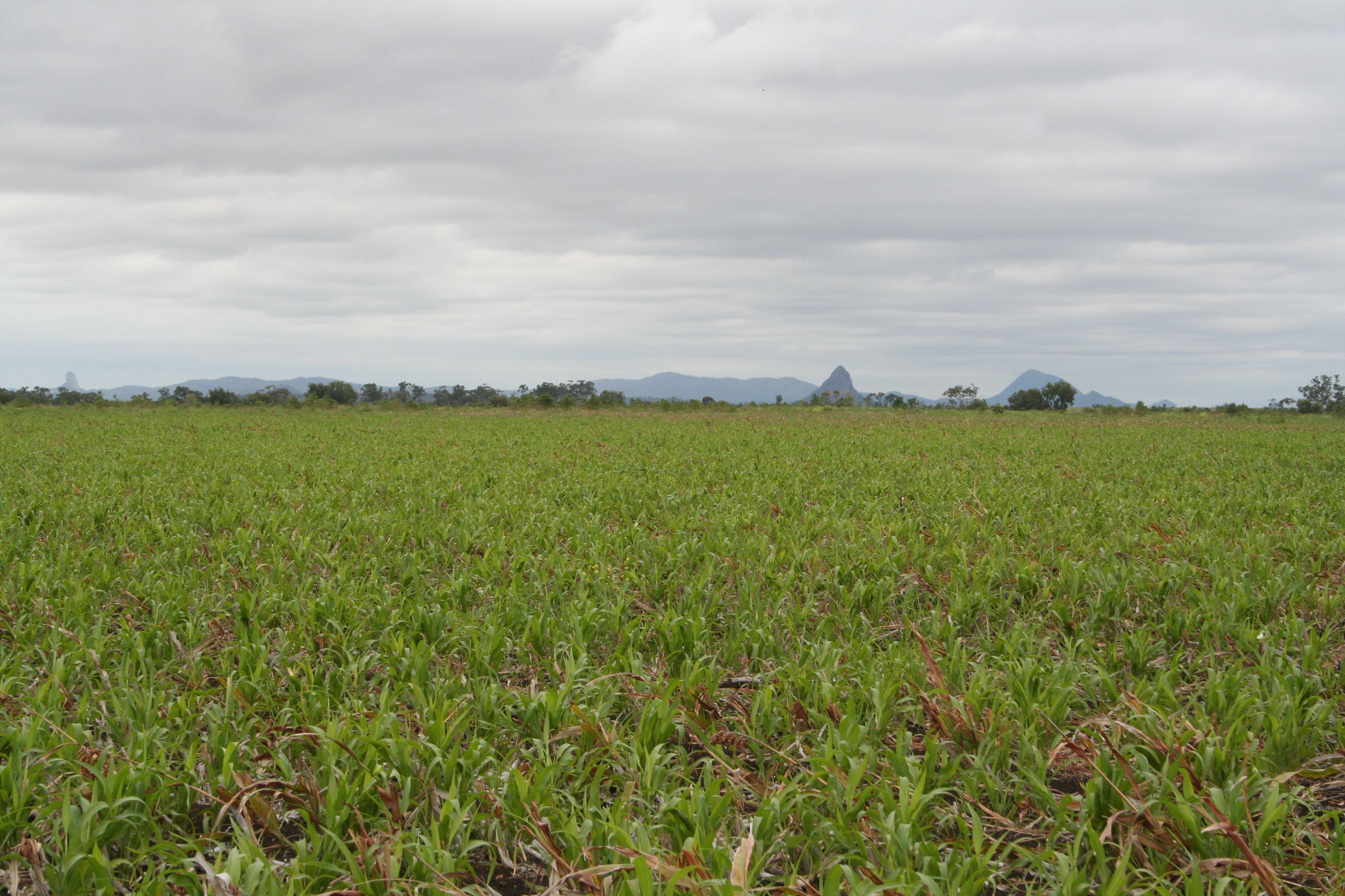 . Kinsale, Clermont, QLD 4721