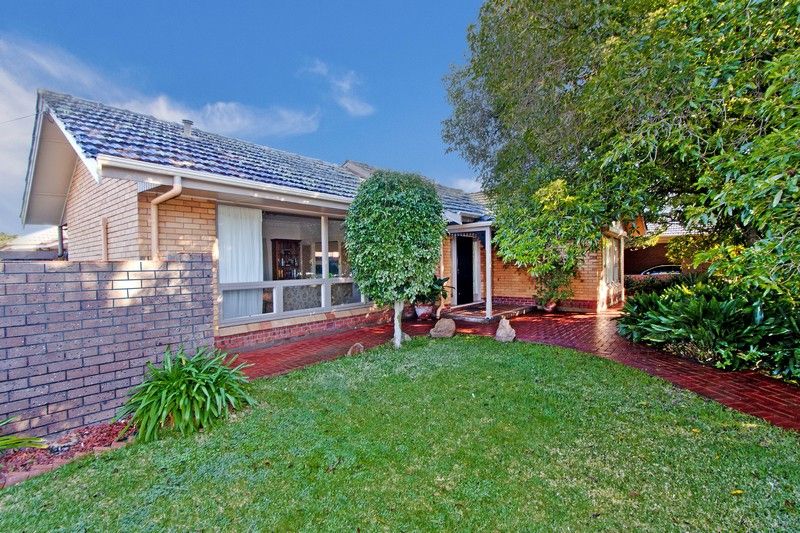 38 Lasscock Avenue, Lockleys, SA 5032