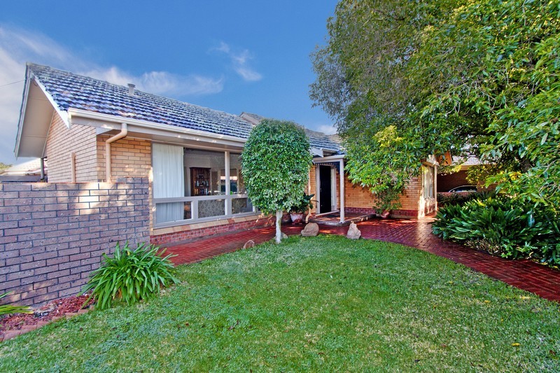 38 Lasscock Avenue, Lockleys, SA 5032
