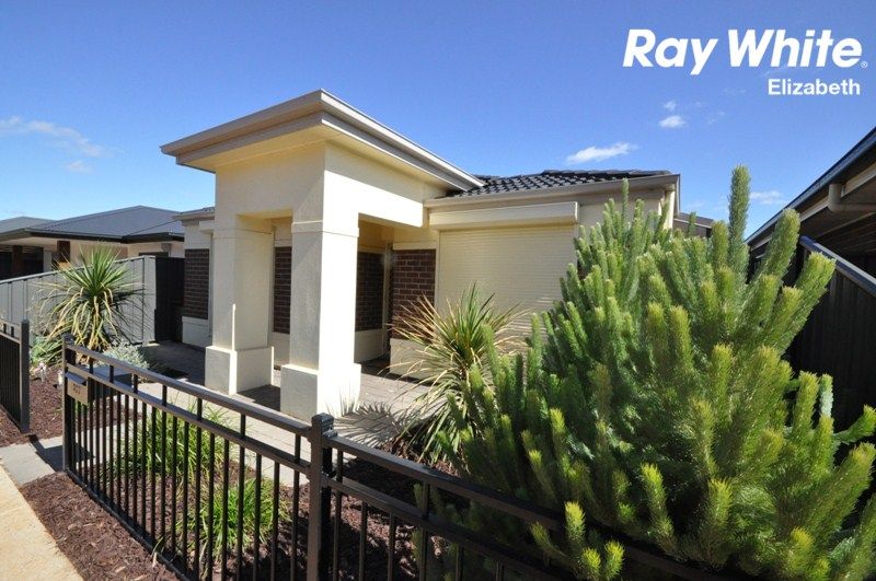 517 Stebonheath Road, Andrews Farm SA 5114