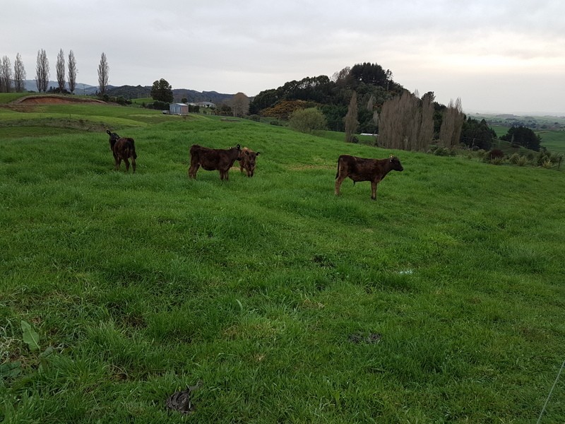 Lot 10 Fullerton Road, Otorohanga, Otorohanga District