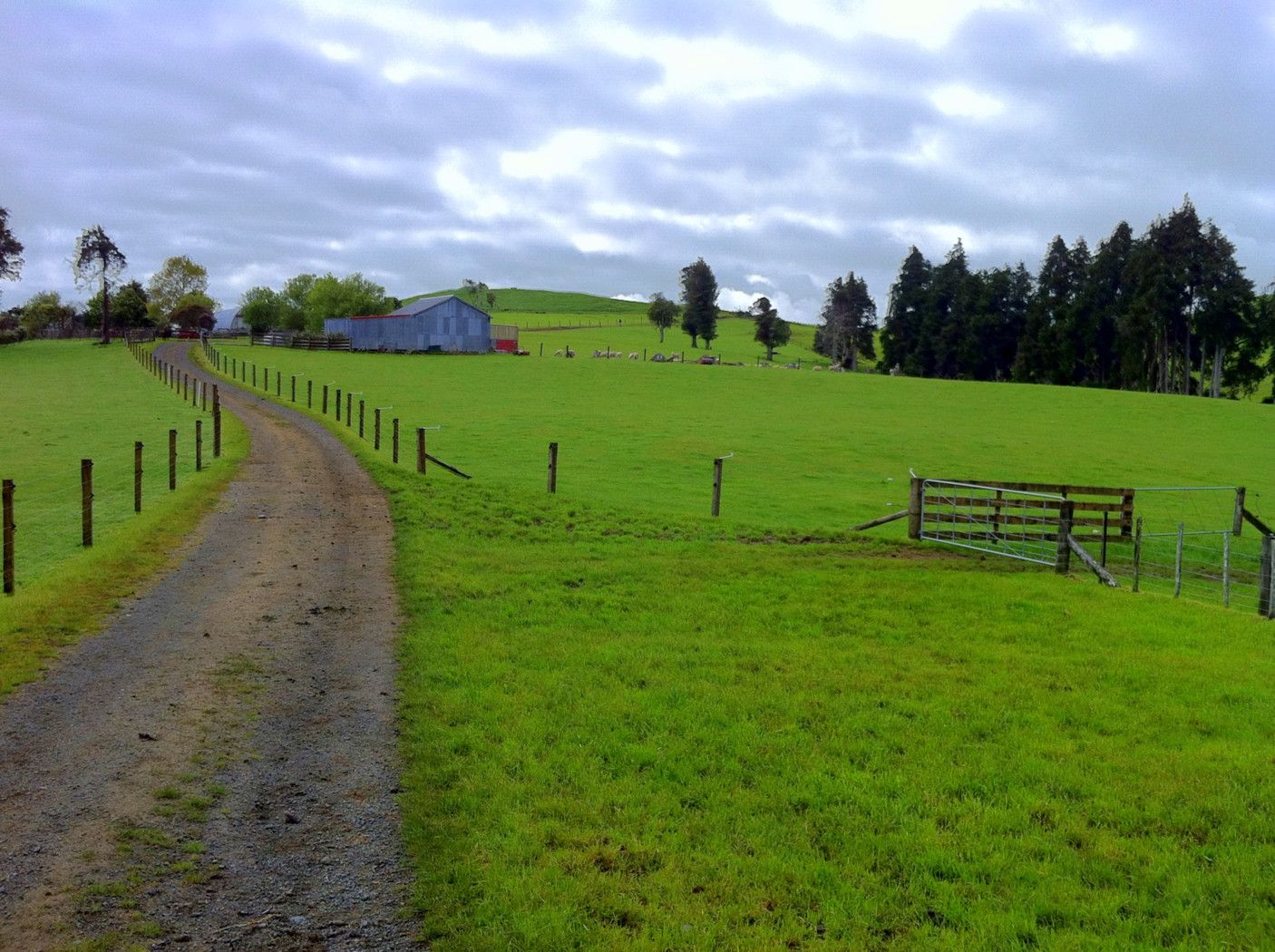 471 Sainsbury Road, Pirongia, Waipa District