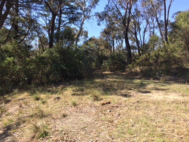 12 Cassilis Street, Mount Victoria, NSW 2786