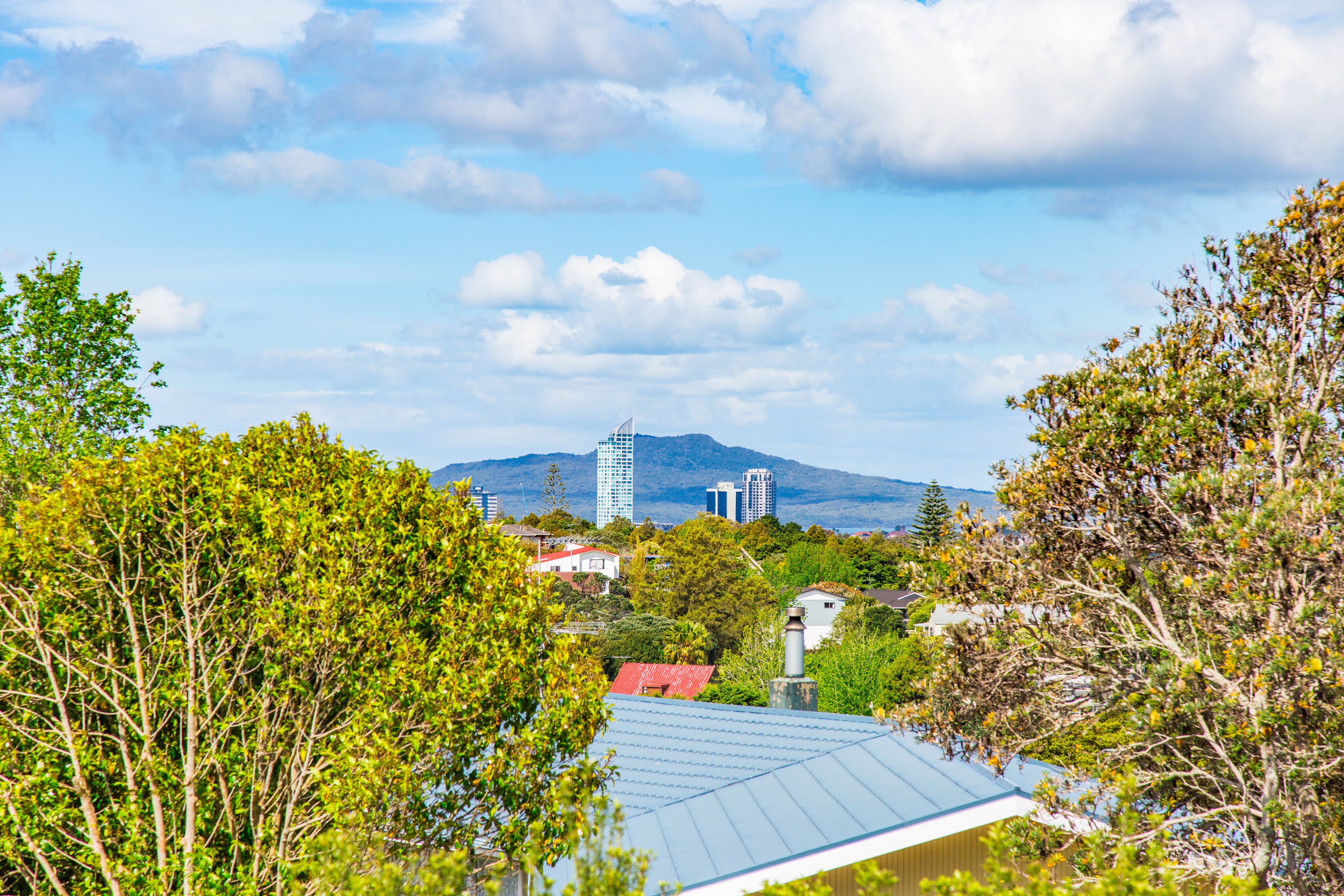 118 Mountbatten Avenue, Hillcrest, North Shore City