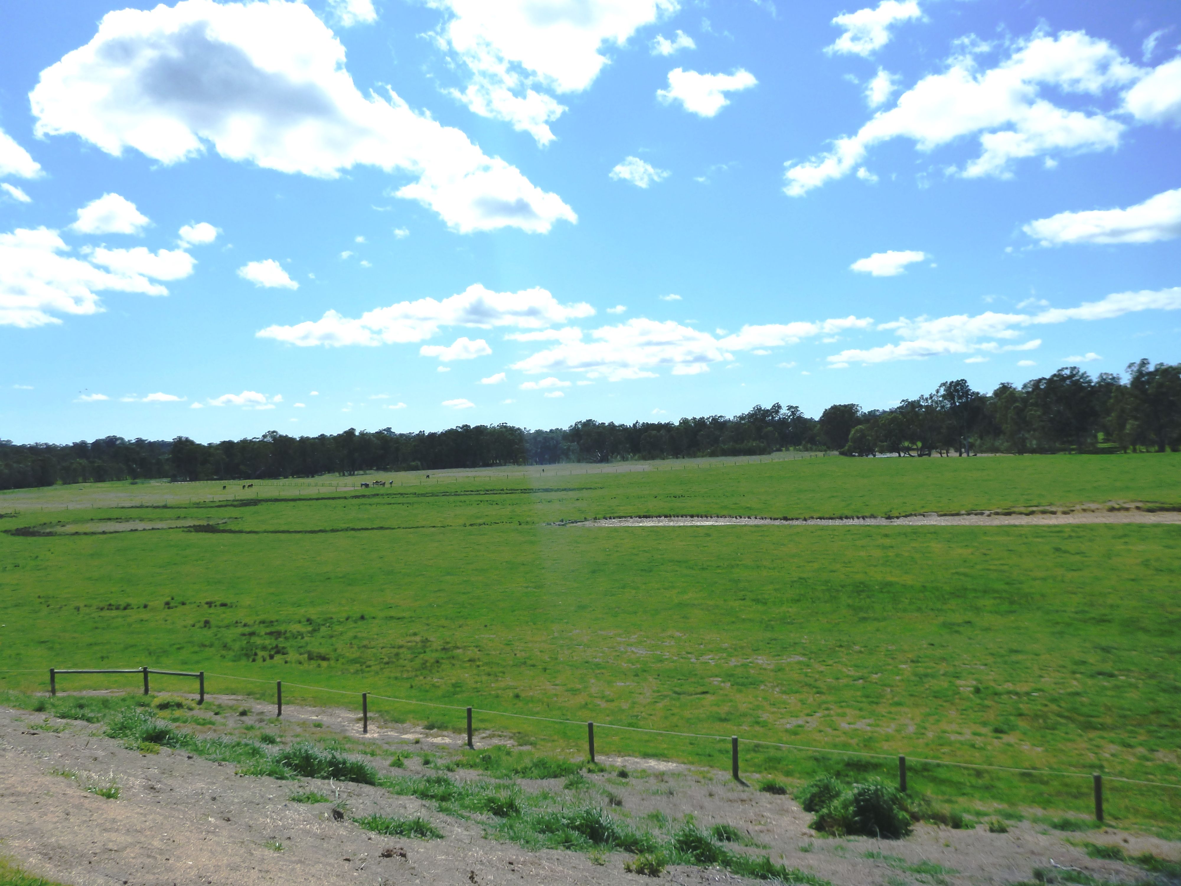 1220 Northwood Road, Seymour, VIC 3660