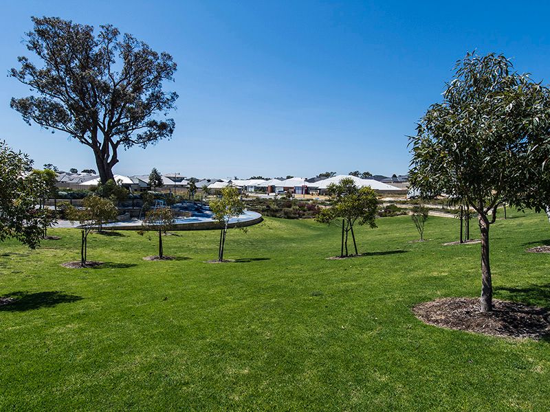 8 Haricot Street, Baldivis, WA 6171