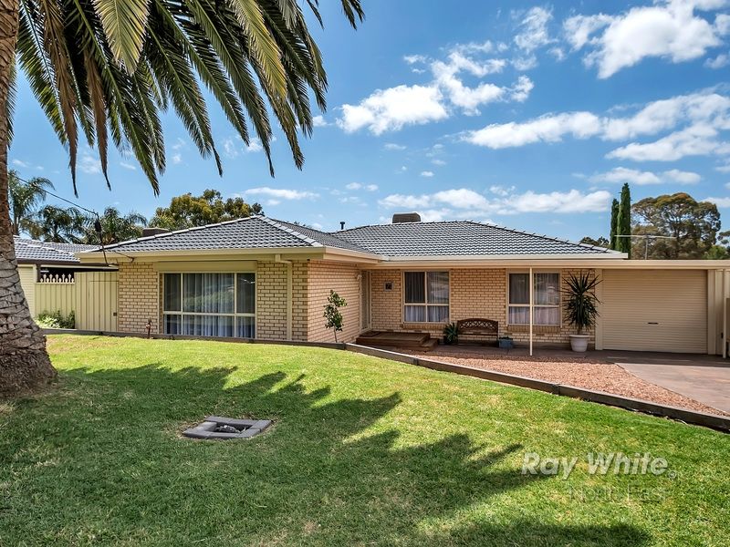 21 Baxter Avenue, Surrey Downs SA 5126