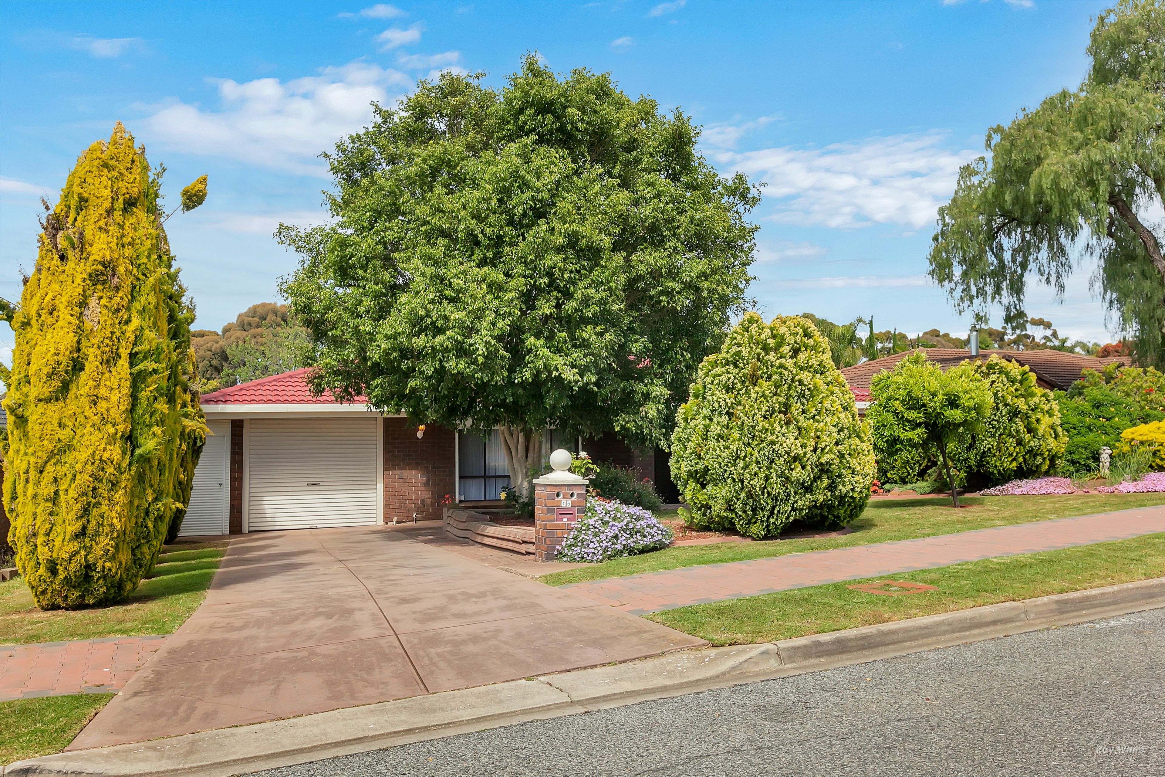 16 Plover Avenue, Modbury Heights SA 5092