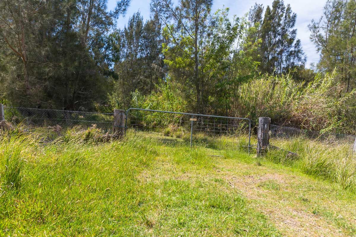 19 Munjeroo Lane, Bingie, NSW 2537