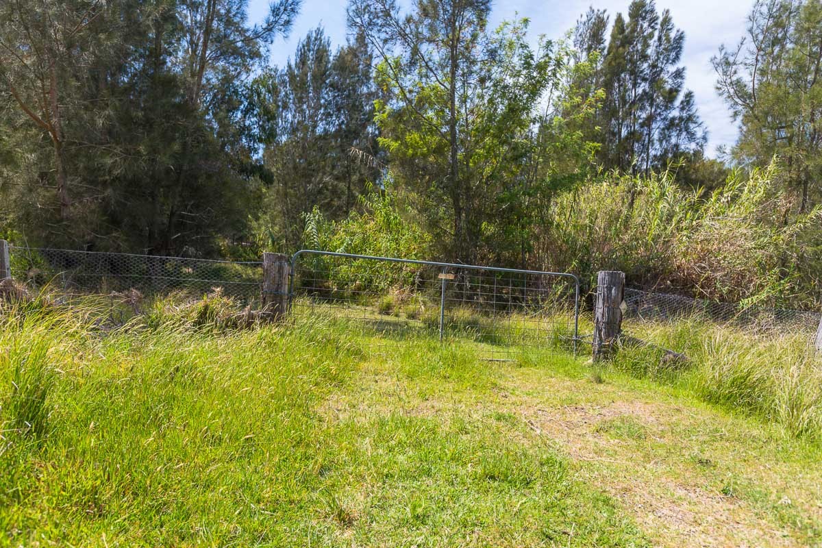 19 Munjeroo Lane, Bingie, NSW 2537