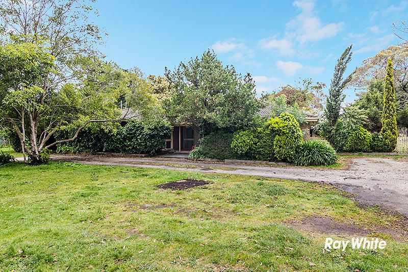 19 Collison Road, Cranbourne East, VIC 3977