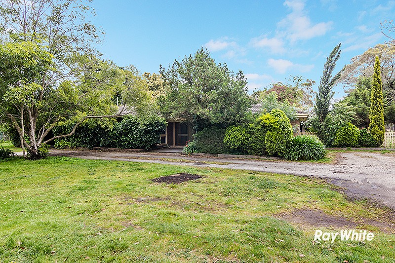 19 Collison Road, Cranbourne East, VIC 3977
