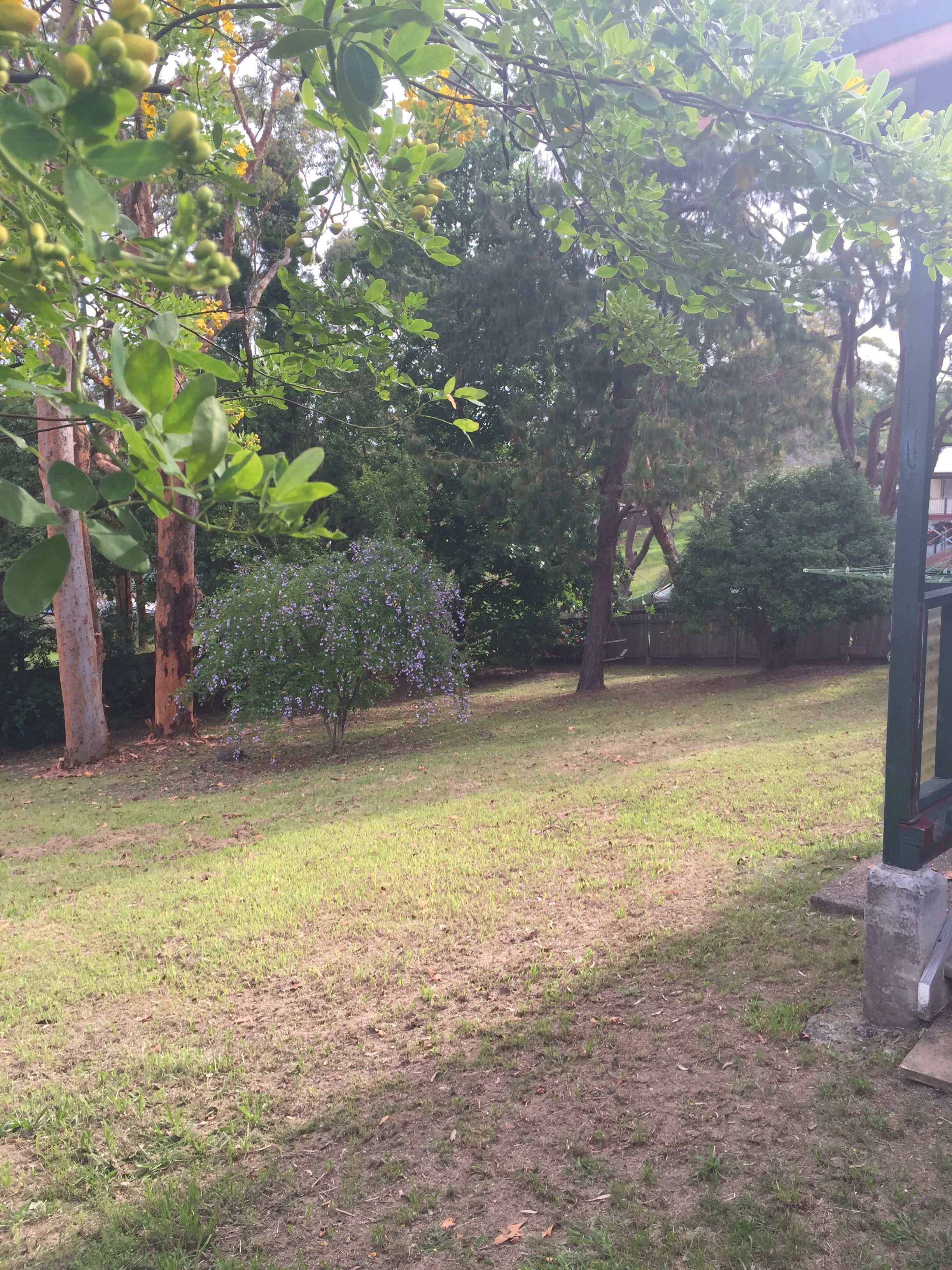 434 Warners Bay Road, Charlestown, NSW 2290