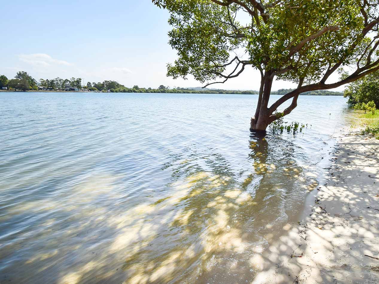 20 Waterview Crescent, Bli Bli QLD 4560