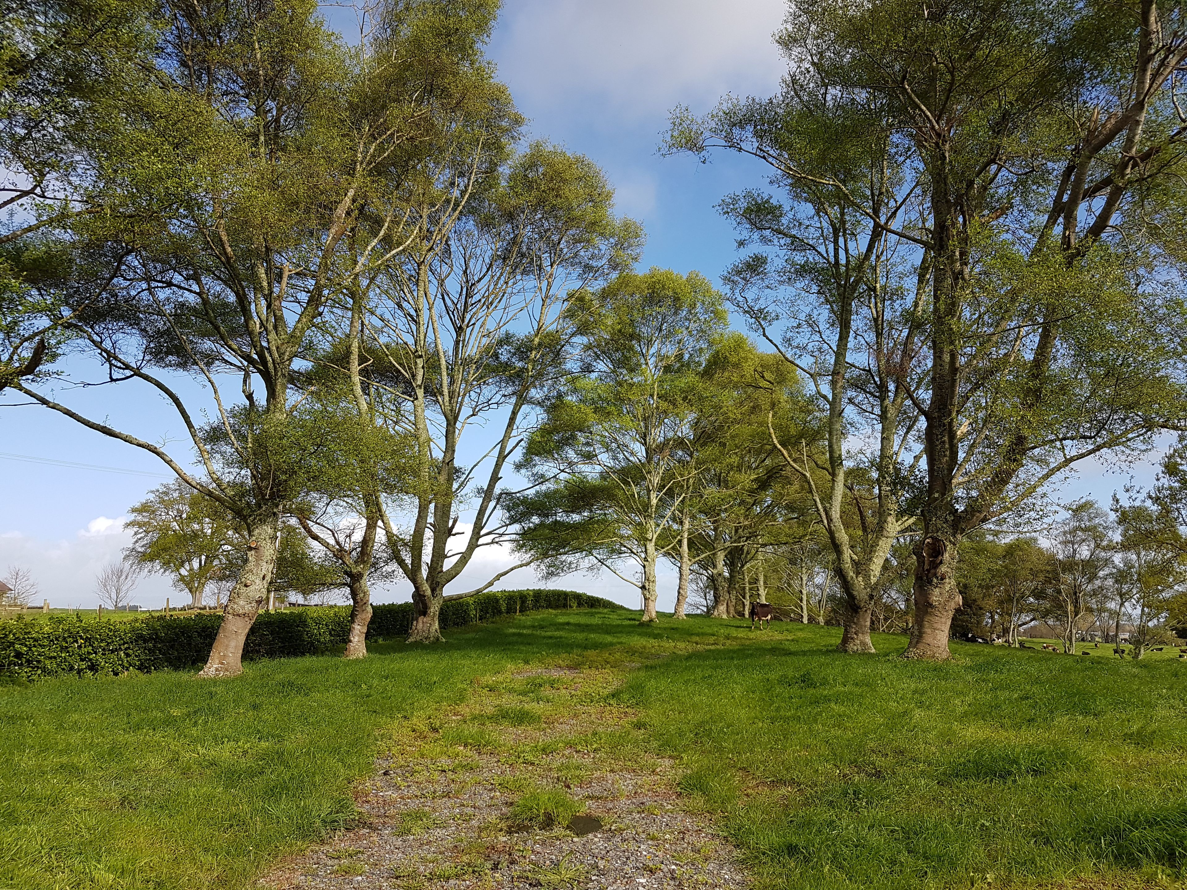 69 Puahue Road, Te Awamutu, Waipa District