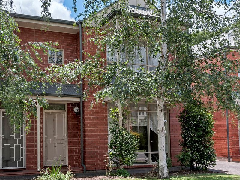  67 Conyngham Street, Glenside SA 5065