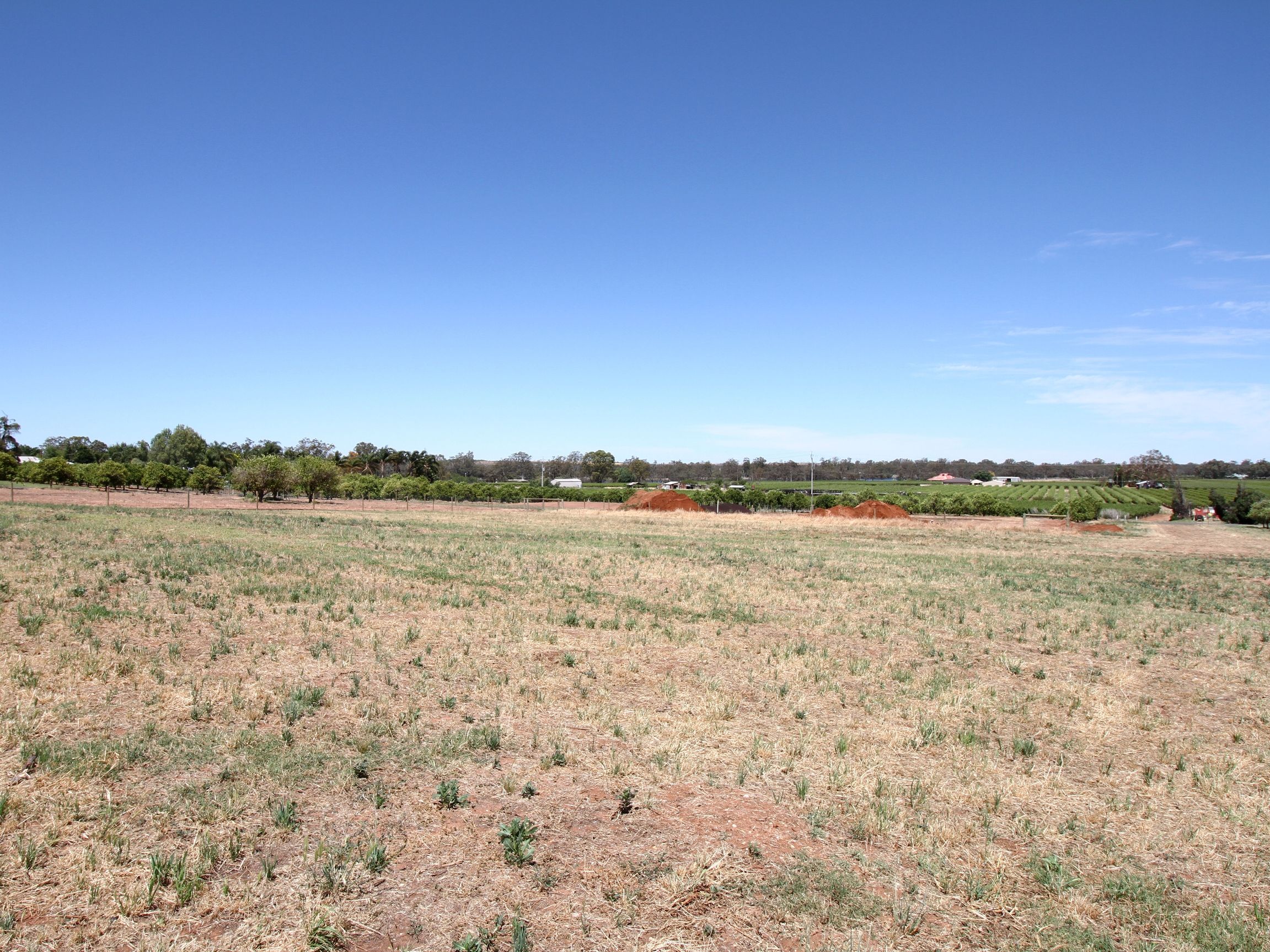 Lot 55 Fenwick Road, Berri, SA 5343