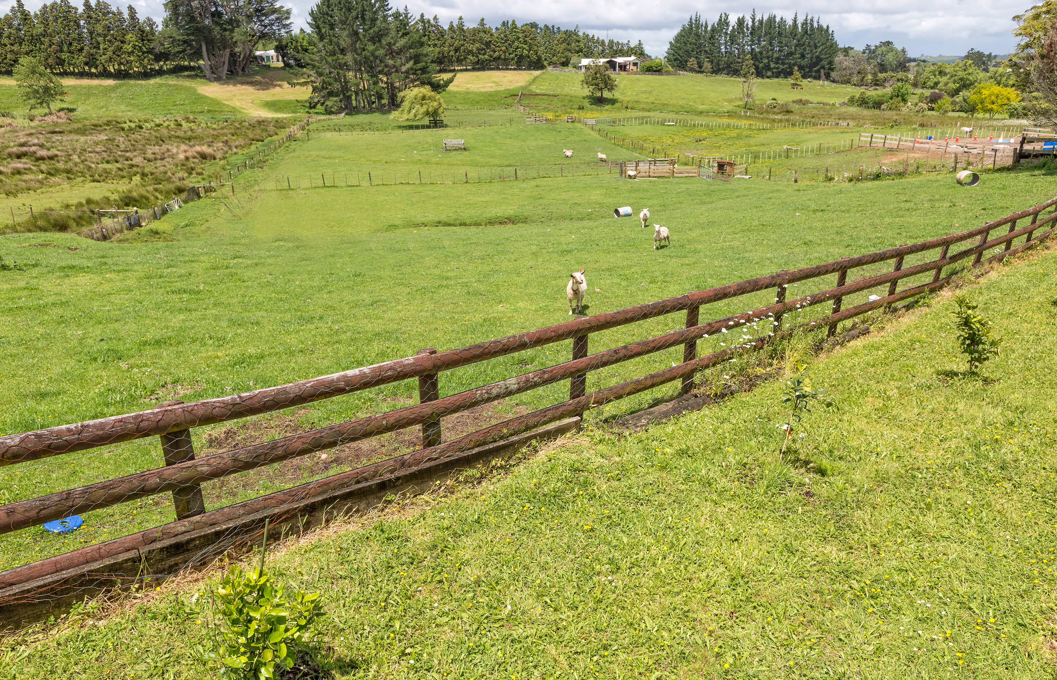 35 Colombo Road, Waiuku, Franklin