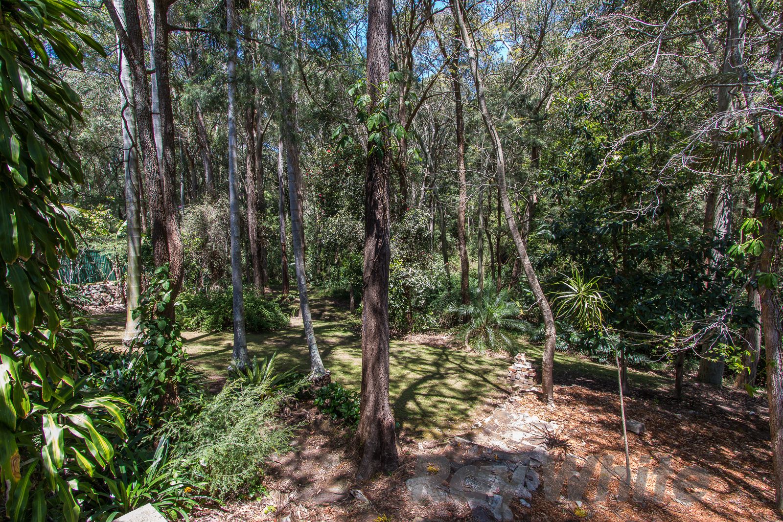 55 Kingsway Avenue, Rankin Park, NSW 2287