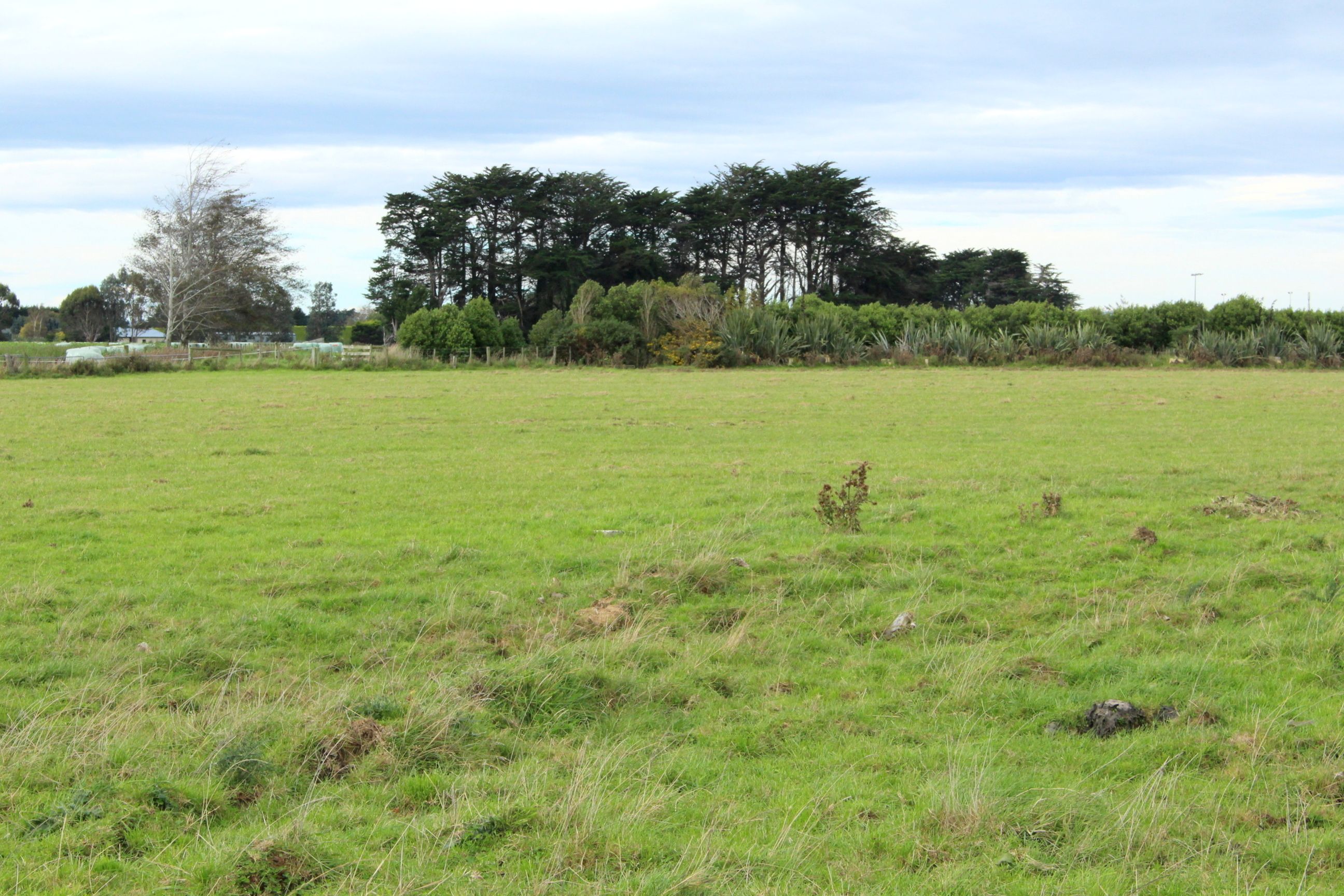 70 Woodlands Cemetery Road, Woodlands, Southland District