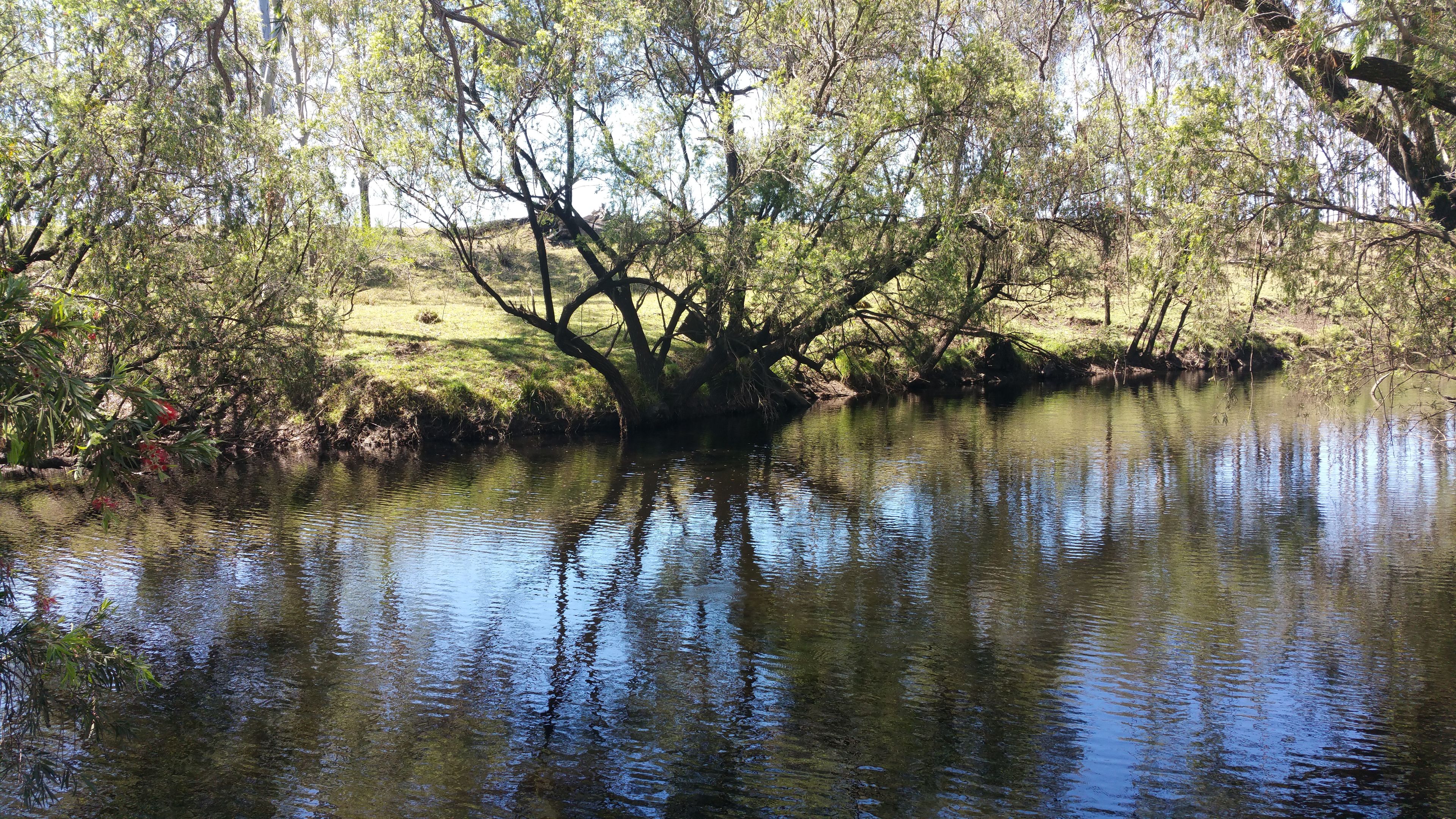 1082 Rosewood Warrill View Road, Lower Mount Walker, QLD 4340
